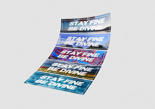 Stay Fine Be Divine Box Slap